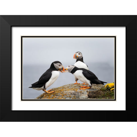 Trio Black Modern Wood Framed Art Print with Double Matting by Fu, Molly