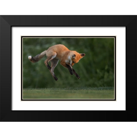 High Jumper Black Modern Wood Framed Art Print with Double Matting by Lu, Bill