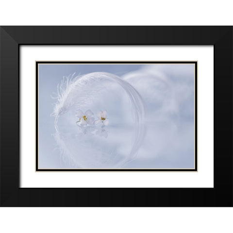 Peacefulness Black Modern Wood Framed Art Print with Double Matting by Kopcev, Igor