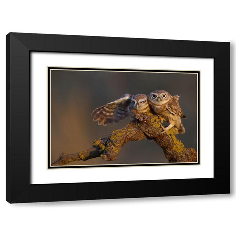 Sweet Couple Black Modern Wood Framed Art Print with Double Matting by Manusevich, David