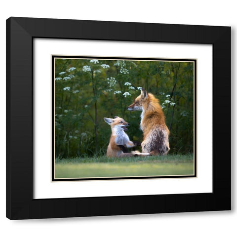 Mommy IM Hungry ! Black Modern Wood Framed Art Print with Double Matting by Tseng, Judy
