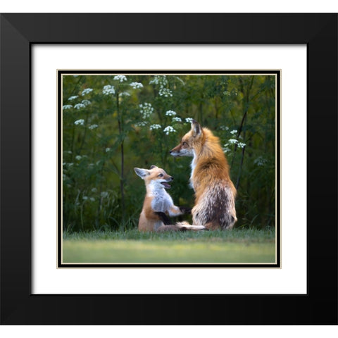 Mommy IM Hungry ! Black Modern Wood Framed Art Print with Double Matting by Tseng, Judy