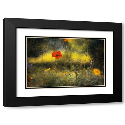 Poppy Black Modern Wood Framed Art Print with Double Matting by Van Der, Jan