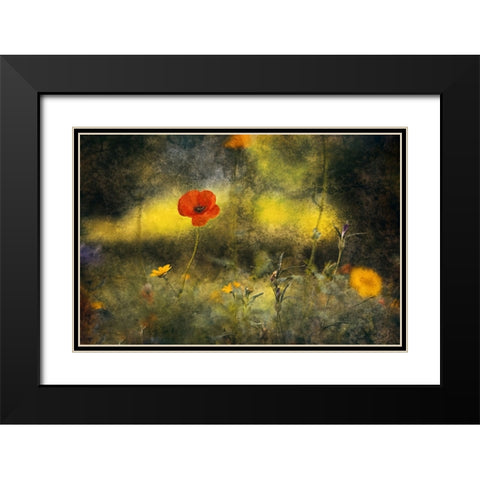 Poppy Black Modern Wood Framed Art Print with Double Matting by Van Der, Jan