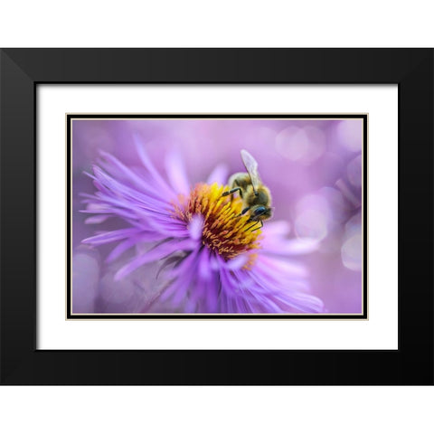 Hard Worker Black Modern Wood Framed Art Print with Double Matting by Kazun, Andrii