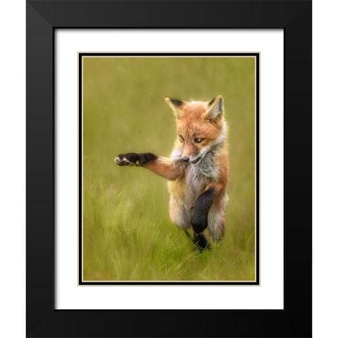 Playful Black Modern Wood Framed Art Print with Double Matting by D. Tang, Lisa