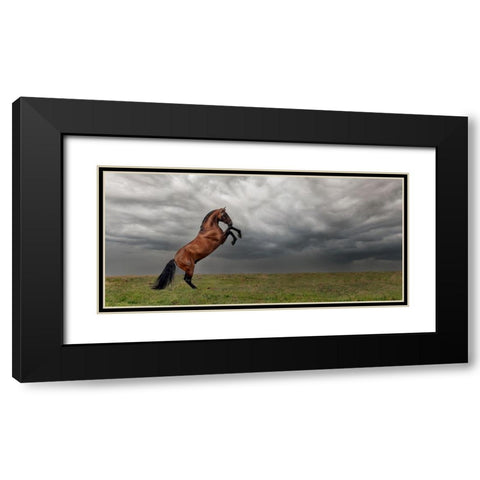 The king of the fields Black Modern Wood Framed Art Print with Double Matting by Weerink, Celine