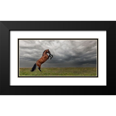 The king of the fields Black Modern Wood Framed Art Print with Double Matting by Weerink, Celine