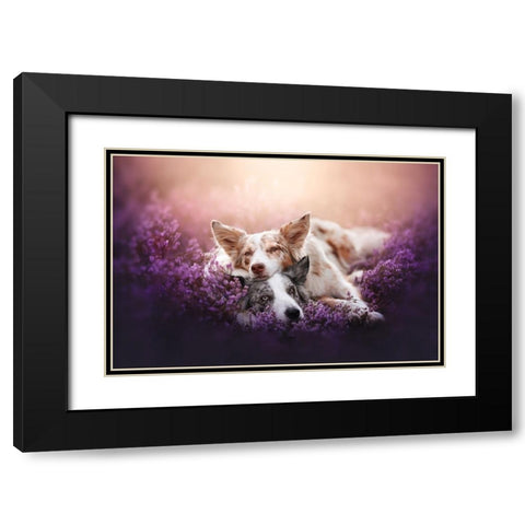 Fluffy Pillow Black Modern Wood Framed Art Print with Double Matting by Shandor, Ve