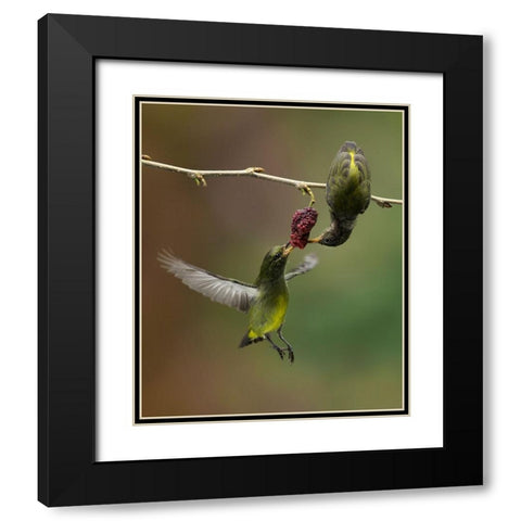 Share Black Modern Wood Framed Art Print with Double Matting by Muliani Hartojo, Angela