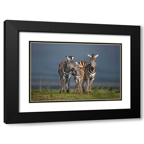 Family Portrait Black Modern Wood Framed Art Print with Double Matting by Ortega, Xavier