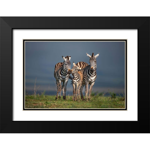 Family Portrait Black Modern Wood Framed Art Print with Double Matting by Ortega, Xavier