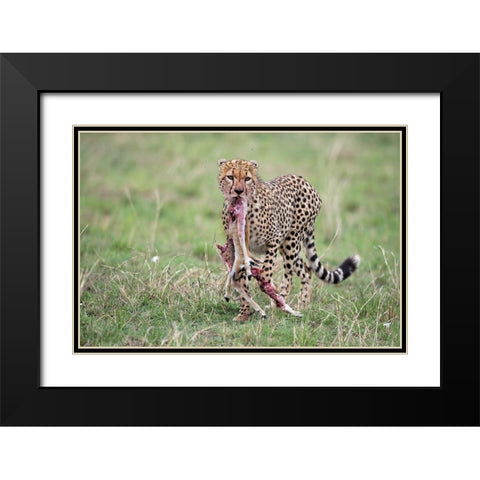 Kill Black Modern Wood Framed Art Print with Double Matting by Pozzi, Marco