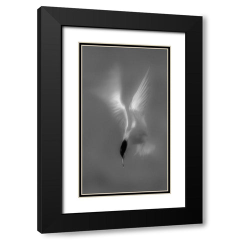 Searching Black Modern Wood Framed Art Print with Double Matting by Zhang, Mei