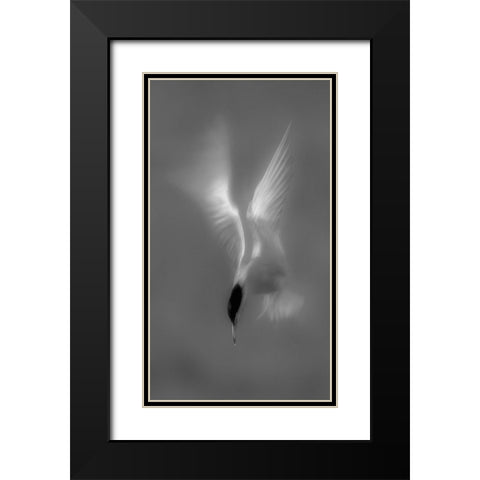 Searching Black Modern Wood Framed Art Print with Double Matting by Zhang, Mei