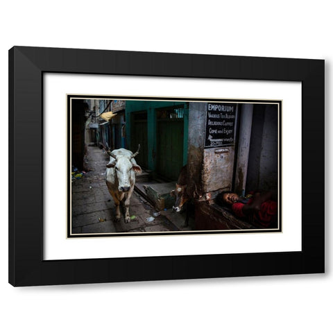 Interludes IV - A Photo Collection Black Modern Wood Framed Art Print with Double Matting by Steverson, Michael