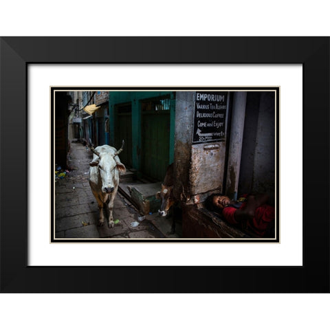 Interludes IV - A Photo Collection Black Modern Wood Framed Art Print with Double Matting by Steverson, Michael