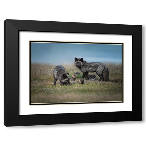 Silver Fox Family Black Modern Wood Framed Art Print with Double Matting by Deng, Larry