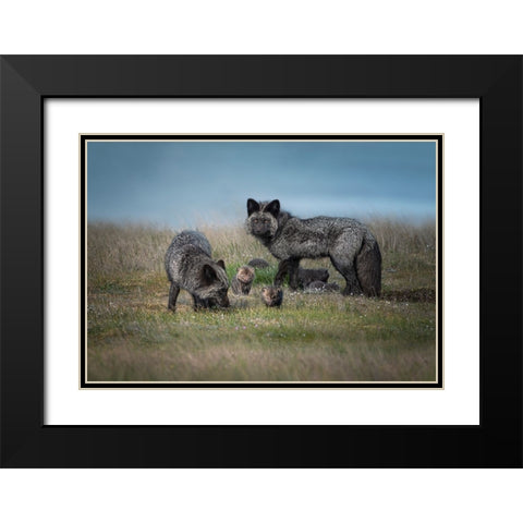 Silver Fox Family Black Modern Wood Framed Art Print with Double Matting by Deng, Larry