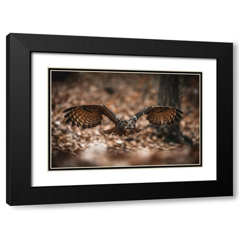 The Eurasian Eagle-Owl (Bubo Bubo) Black Modern Wood Framed Art Print with Double Matting by Rozehnal, Jan