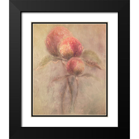 Peonies Black Modern Wood Framed Art Print with Double Matting by Zvinakeviciute, Kristina
