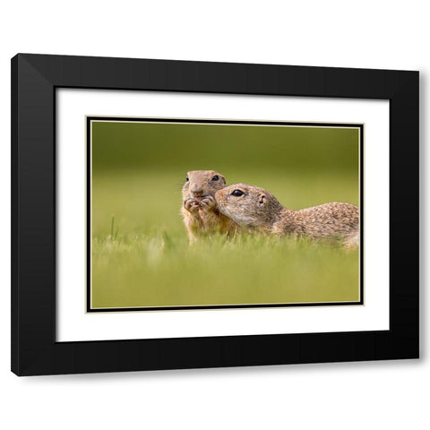 Together Black Modern Wood Framed Art Print with Double Matting by And Wei, Siyu