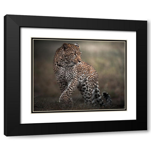 Surprise Black Modern Wood Framed Art Print with Double Matting by Sobhi, Ahmed