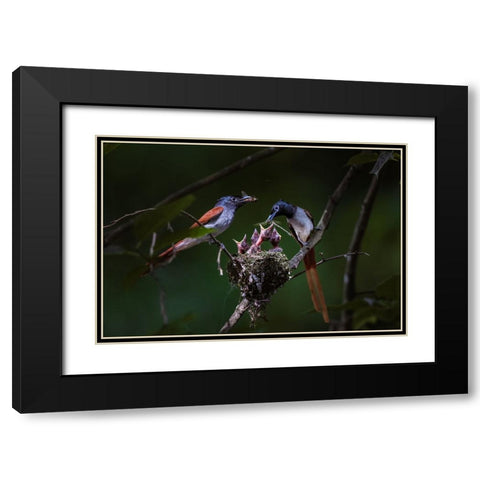 Feeding Black Modern Wood Framed Art Print with Double Matting by Fengying Long