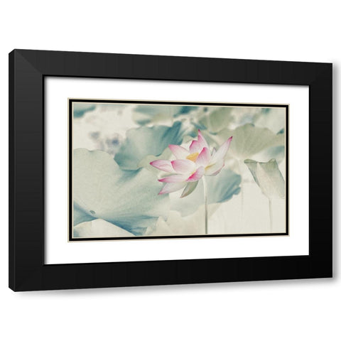 Pictorial_Lotus Black Modern Wood Framed Art Print with Double Matting by Liu, Yanny