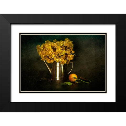 Helichrysum Arenarium/Altapn Otu Black Modern Wood Framed Art Print with Double Matting by Sahin, Ramiz