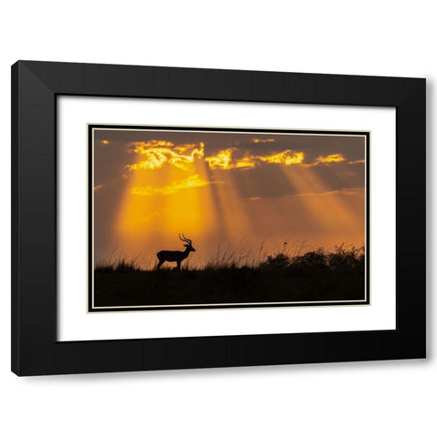 Rays Of Divinity Black Modern Wood Framed Art Print with Double Matting by Bhatia, Yogesh