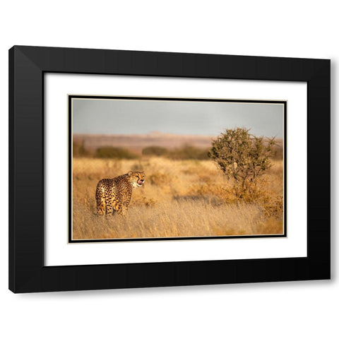 Memories Of Africa Black Modern Wood Framed Art Print with Double Matting by Wiener, Iris