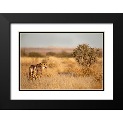 Memories Of Africa Black Modern Wood Framed Art Print with Double Matting by Wiener, Iris