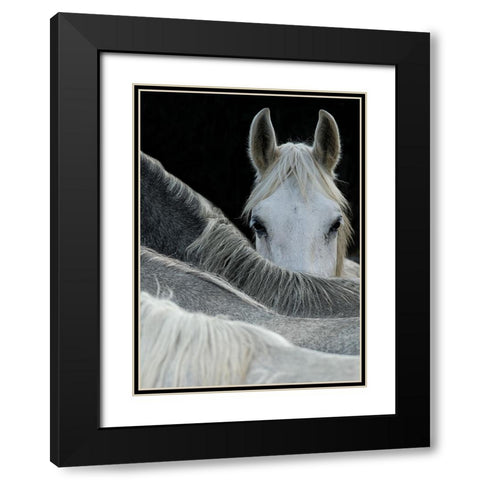 Look Black Modern Wood Framed Art Print with Double Matting by Malovrh, Milan