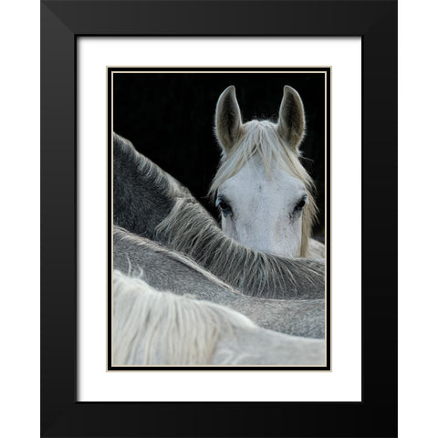 Look Black Modern Wood Framed Art Print with Double Matting by Malovrh, Milan