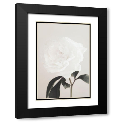 Peony 03 Black Modern Wood Framed Art Print with Double Matting by 1x Studio III