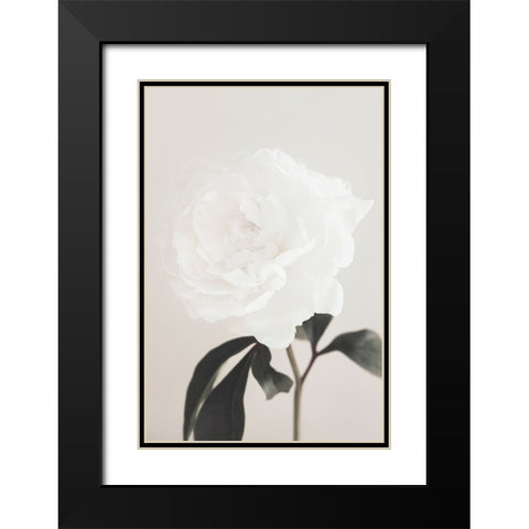 Peony 03 Black Modern Wood Framed Art Print with Double Matting by 1x Studio III