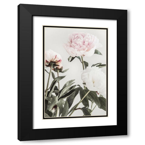 Peony 04 Black Modern Wood Framed Art Print with Double Matting by 1x Studio III