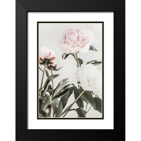 Peony 04 Black Modern Wood Framed Art Print with Double Matting by 1x Studio III