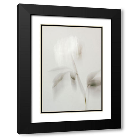 Peony 06 Black Modern Wood Framed Art Print with Double Matting by 1x Studio III
