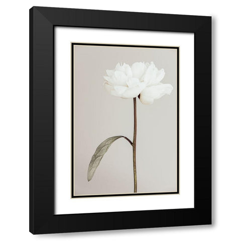 Peony 07 Black Modern Wood Framed Art Print with Double Matting by 1X Studio III