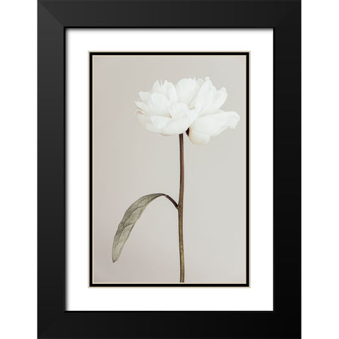 Peony 07 Black Modern Wood Framed Art Print with Double Matting by 1X Studio III