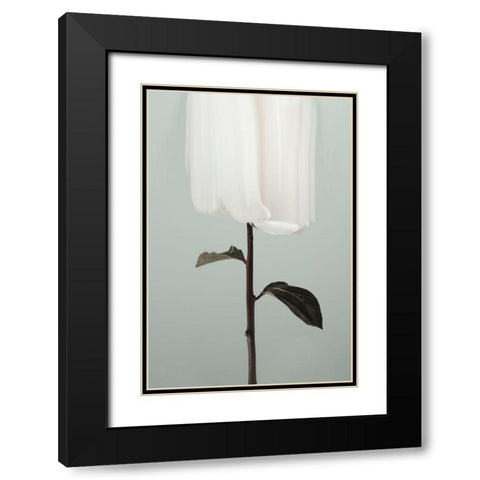 Peony 17 Black Modern Wood Framed Art Print with Double Matting by 1x Studio III