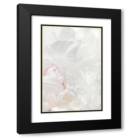 Peony 21 Black Modern Wood Framed Art Print with Double Matting by 1x Studio III