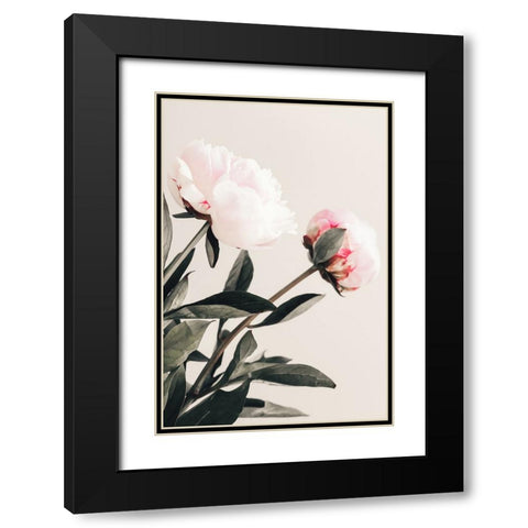 Peony 23 Black Modern Wood Framed Art Print with Double Matting by 1x Studio III