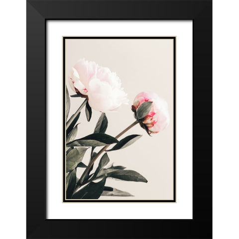 Peony 23 Black Modern Wood Framed Art Print with Double Matting by 1x Studio III