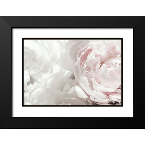 Peony 25 Black Modern Wood Framed Art Print with Double Matting by 1x Studio III