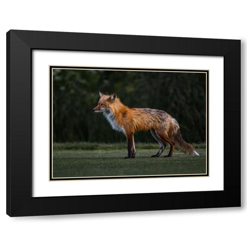 You Caught My Eyes Black Modern Wood Framed Art Print with Double Matting by Tseng, Judy