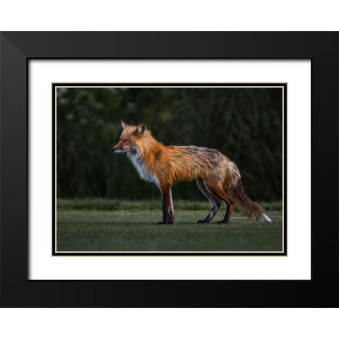 You Caught My Eyes Black Modern Wood Framed Art Print with Double Matting by Tseng, Judy