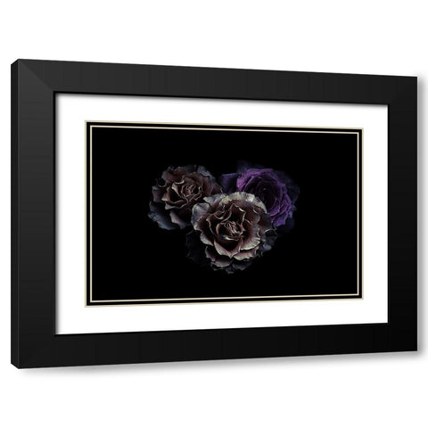 Roses Black Modern Wood Framed Art Print with Double Matting by Julie, Angel